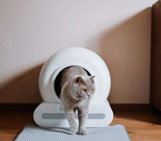 Het PoezenPaleis Slimme Automatische Kattenbak™